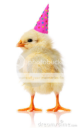 chickenhat.png