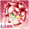 liam folder icon.png