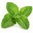 Mints2010