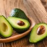 Avocado Arpasing Reclist and Tutorial